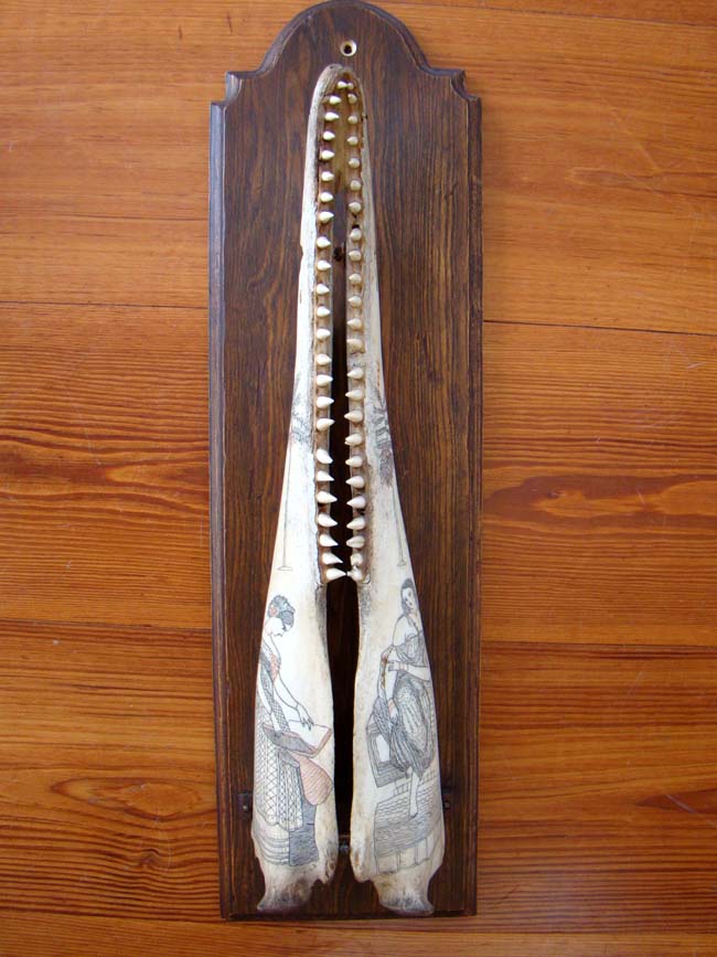 A fabulous pair of polycrome Scrimshaw porpoise jaw bones circa 1840